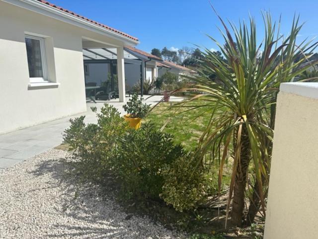 Belle Maison Malou Climatisee Calme, Piscine, Jacuzzi 3Km Plage Labenne Capbreton Exterior photo